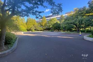 敷地に隣接した中央区立あかつき公園