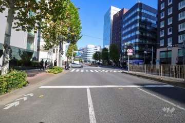 敷地南東側の前面道路　