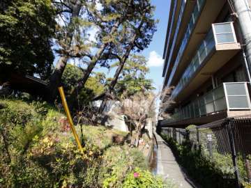敷地西側は夙川の土手です。