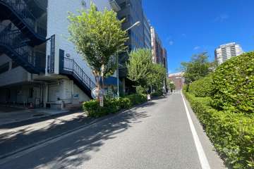 敷地の北側前面道路（東側から）