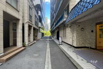 敷地の西側前面道路（南側から）