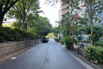 敷地東側の前面道路