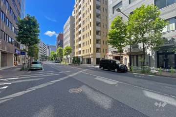 敷地の東側前面道路（北側から）