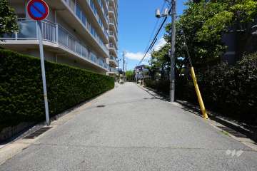敷地西側の前面道路（南側から）