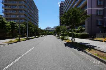 敷地東側の前面道路（北側から）
