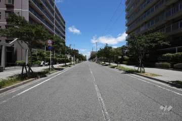 敷地東側の前面道路（南側から）