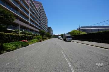 敷地南側の前面道路（西側から）