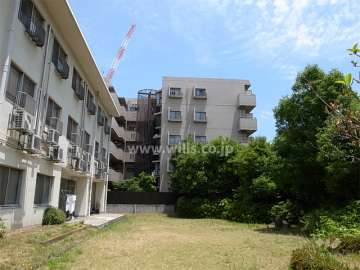 ユニライフ甲子園の外観（西側から）