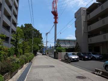 敷地北側の前面道路。北東側には境内が緑豊かな熊野神社があります。