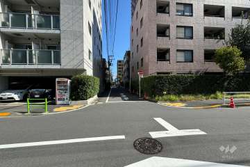 敷地の北西側前面道路（南西側から）