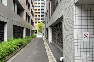 敷地の南西側前面道路（南東側から）