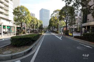 敷地東側の前面道路(北側から)