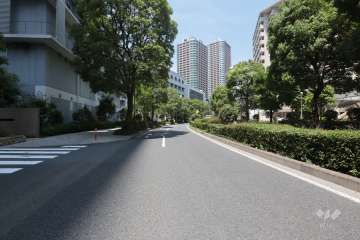 敷地北東側の前面道路(東方面から)