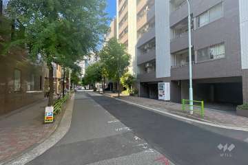 敷地の南西側前面道路（南東側から）
