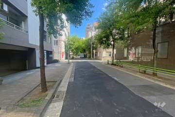 敷地の南西側前面道路（北西側から）
