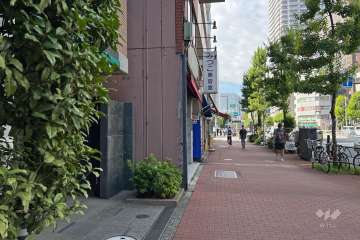 敷地の北西側前面道路（北東側から）