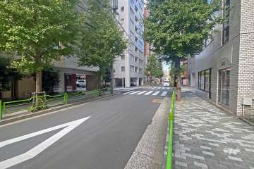 敷地の南側前面道路（東側から）