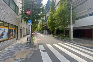 敷地の東側前面道路（南側から）