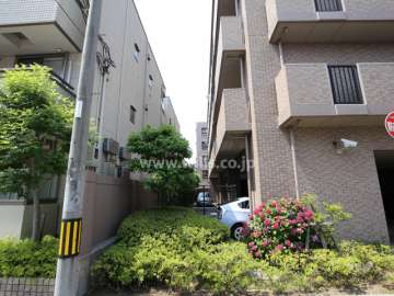 敷地東側の様子（北側から）