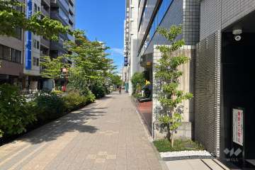 敷地の北東側前面道路（北西側から）