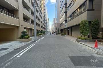 敷地南東側の前面道路　　