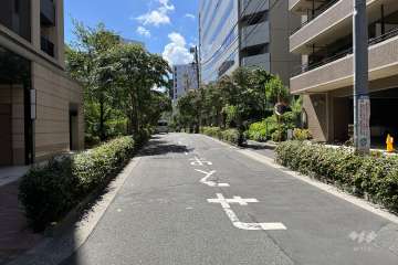 敷地の南東側前面道路（北東側から）