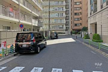 敷地の西側前面道路（北側から）