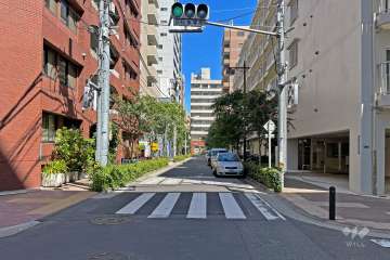 敷地の北側前面道路（西側から）