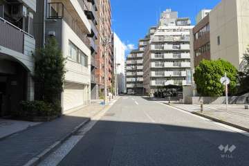 敷地の東側前面道路（南側から）