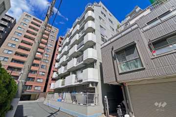 日本橋ニューシティダイヤモンドパレスＡ棟の外観（南東側から）