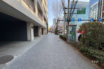 敷地西側の前面道路（北側から）