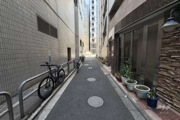 敷地東側の前面道路（北側から）