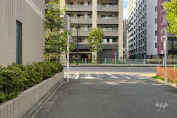 敷地の北東側前面道路（南東側から）