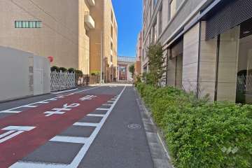 敷地の北西側前面道路（北東側から）