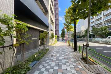 敷地南東側の前面道路　