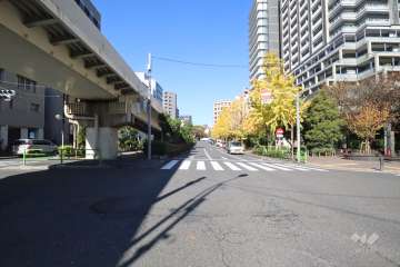 敷地南西側の前面道路