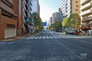 敷地北西側前面道路(南西側から)