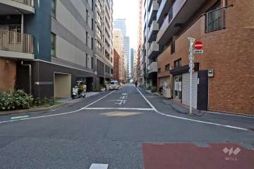 敷地南東側前面道路(北東側から)