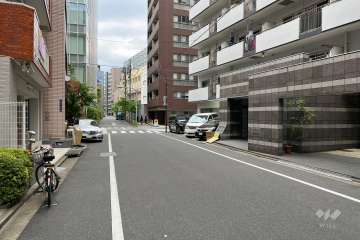 敷地の西側前面道路（南側から）