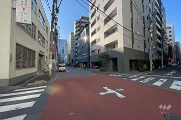 敷地南側の前面道路　