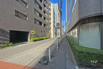 敷地の北東側前面道路（南東側から）