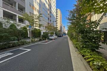 敷地南東側の前面道路（南西側から）