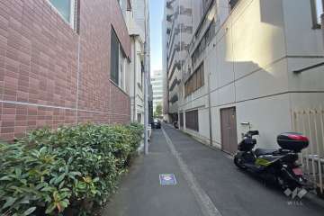 敷地の西側前面道路（北側から）