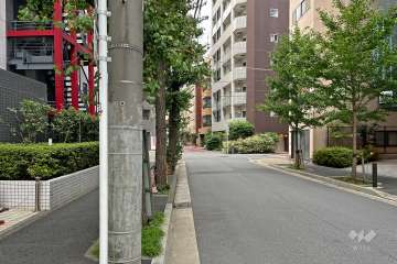 敷地の東側前面道路（南側から）