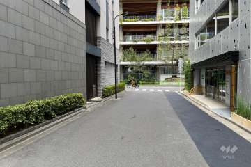 敷地の東側前面道路（南側から）