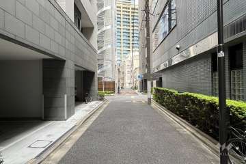 敷地の南側前面道路（西側から）