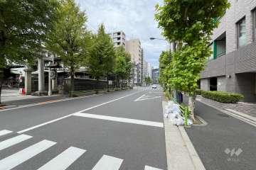 敷地西側の前面道路（南側から）