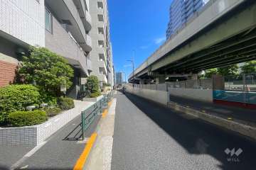 敷地の南側前面道路（西側から）