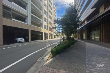 敷地西側の前面道路（北側から）