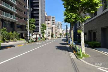 敷地の西側前面道路（南側から）